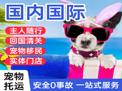 济南遥墙机场物流国际宠物托运 【国